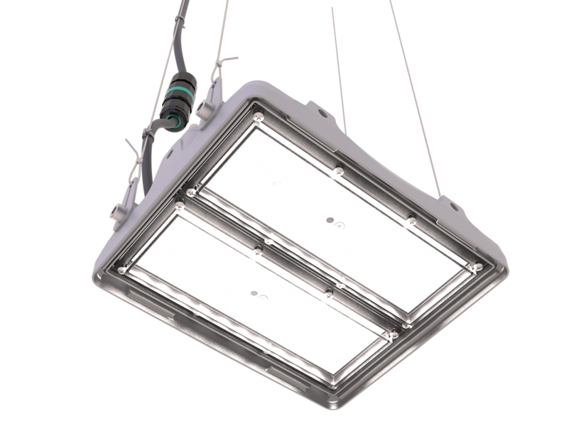 L-pixel 1/50/К15/750/(R5)/01/MT-KM/I1-D1/220AC IP66 RAL7035