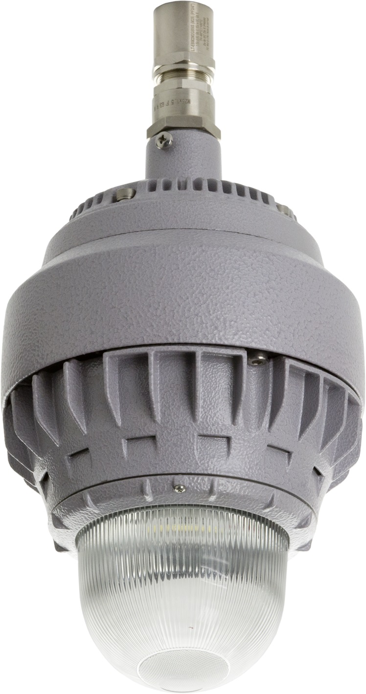 GLOBUS LED 100G Ex