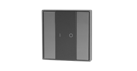 Кнопочная панель 2-х кл. (1 группа), пластиковый корпус, черный DA-SW-G1-PB