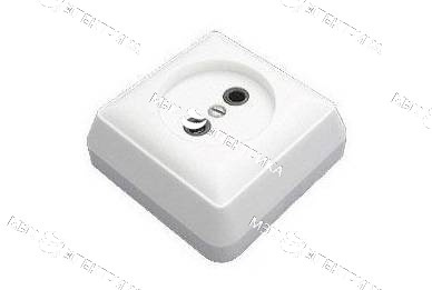 Евро.Розетка 1.СП РС 10-004 Орша (80)