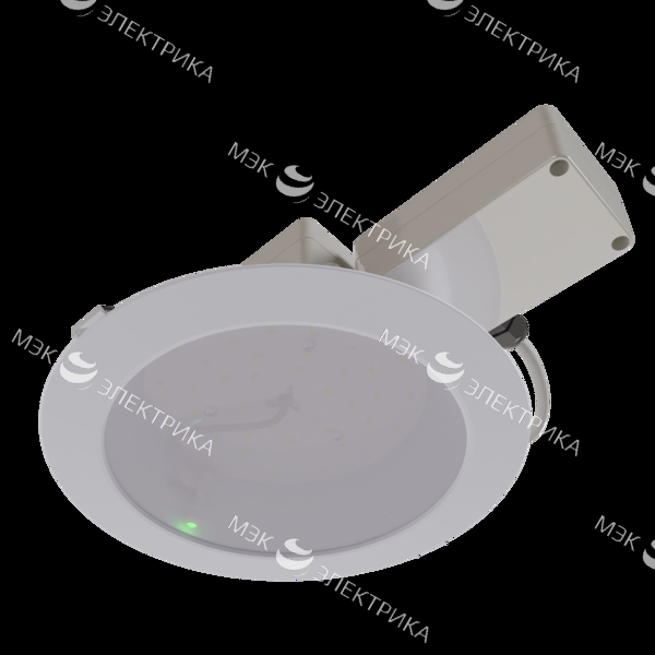 Светильник Radian NEW/Em/23/Д/850/03/220AC IP54