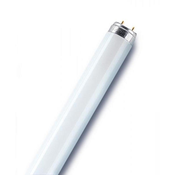 ЛБ-58 Люмин. Т8 L 58W/765 (Osram)(25)
