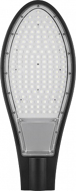Уличный светодиодный светильник 30LED*30W AC230V/ 50Hz цвет черный (IP65), SP2925 